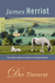 Buchcover von Der Tierarzt: Die zweite Folge der heiteren Tierarztgeschichten von James Herriot