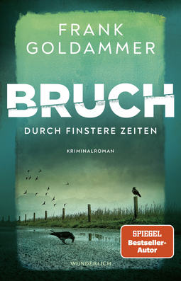 Buchcover von Bruch: Durch finstere Zeiten von Frank Goldammer