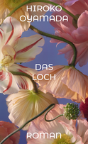 Buchcover von Das Loch von Hiroko Oyamada