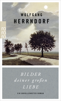 Buchcover von Bilder deiner großen Liebe: Ein unvollendeter Roman von Wolfgang Herrndorf