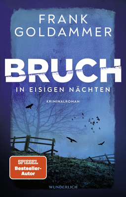 Buchcover von Bruch: In eisigen Nächten von Frank Goldammer
