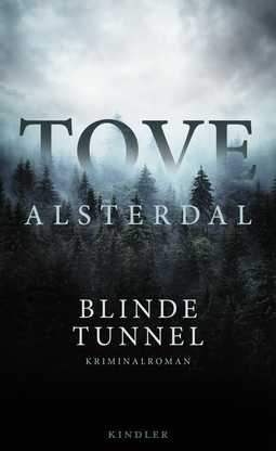 Buchcover von Blinde Tunnel von Tove Alsterdal