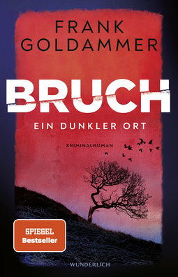 Buchcover von Bruch: Ein dunkler Ort von Frank Goldammer