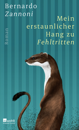 Buchcover von Mein erstaunlicher Hang zu Fehltritten