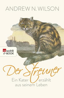 Buchcover von Der Streuner: Ein Kater erzählt aus seinem Leben von Andrew N. Wilson