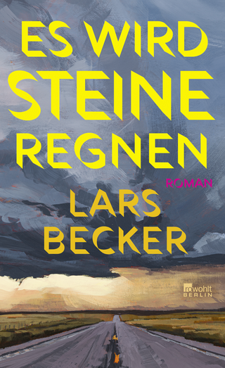Buchcover von Es wird Steine regnen