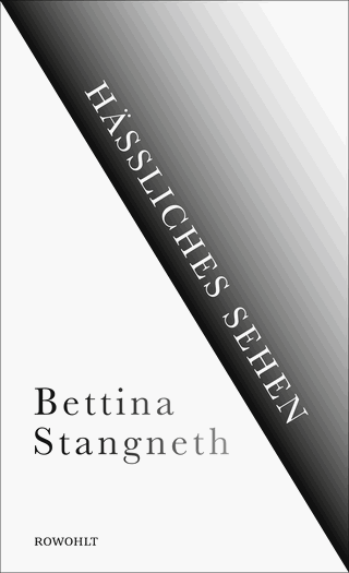 Buchcover von Hässliches Sehen
