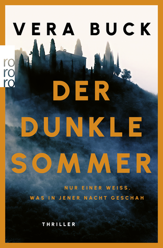 Buchcover von Der dunkle Sommer: Nur einer weiß, was in jener Nacht geschah.
