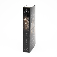 Zusatzmaterial PA 978 3 499 01746 9 innen 031 von Dark Labyrinth – Gefährliches Verlangen von AdriAnne May