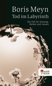 Buchcover von Tod im Labyrinth von Boris Meyn