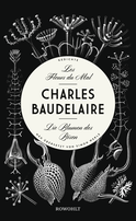 Buchcover von Les Fleurs du Mal - Die Blumen des Bösen: Gedichte. Neu übersetzt von Simon Werle von Charles Baudelaire