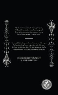 Zusatzmaterial 9783498006778 U4 von Les Fleurs du Mal - Die Blumen des Bösen: Gedichte. Neu übersetzt von Simon Werle von Charles Baudelaire