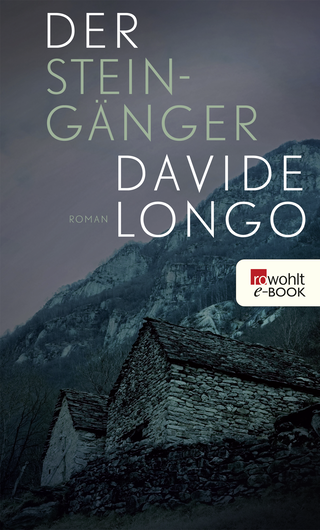 Buchcover von Der Steingänger