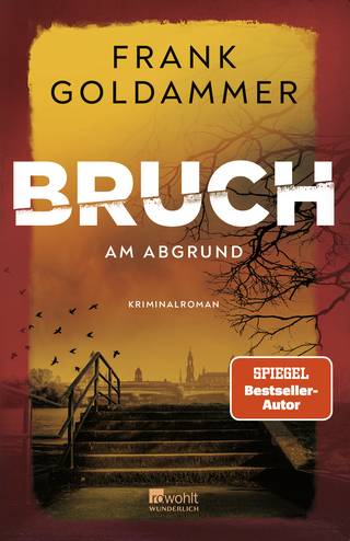 Buchcover von Bruch: Am Abgrund