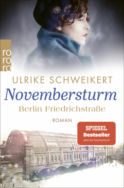 Buchcover von Berlin Friedrichstraße: Novembersturm von Ulrike Schweikert