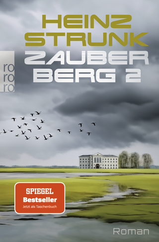 Buchcover von Zauberberg 2