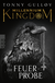 Buchcover von Millennium Kingdom: Die Feuerprobe von Tonny Gulløv