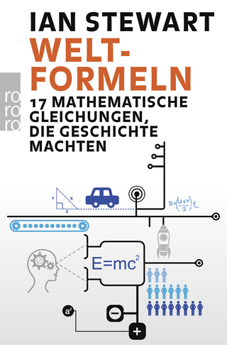 Buchcover von Welt-Formeln: 17 mathematische Gleichungen, die Geschichte machten