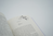 Zusatzmaterial PA 978 3 499 00286 1 innen 012 von Heart Story von Helen Hoang