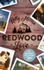 Buchcover von Redwood Love – Es beginnt mit einem Kuss von Kelly Moran