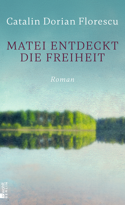 Buchcover von Matei entdeckt die Freiheit von Catalin Dorian Florescu